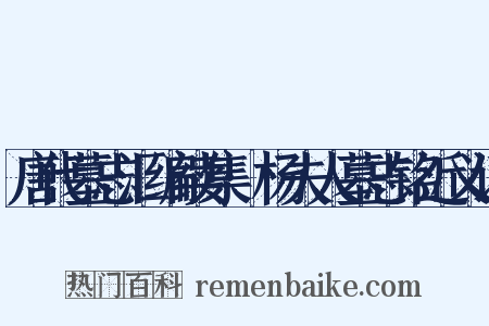 唐代墓志汇编续集·杨夫人墓志铭近义词是什么意思的图片